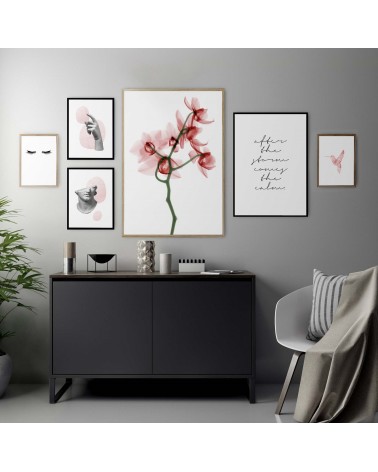 Composición mod. Orchid