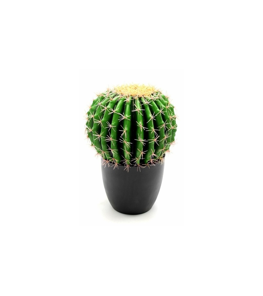 Cactus Artificial mod. ASIENTO DE SUEGRA