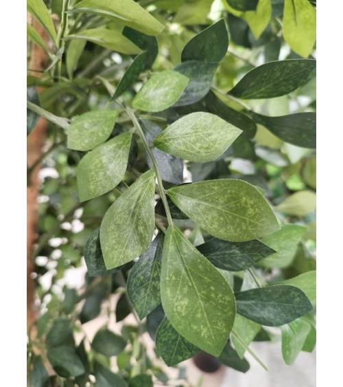 ARBOL ACACIA TRONCO NATURAL 180 CM en Plantas artificiales