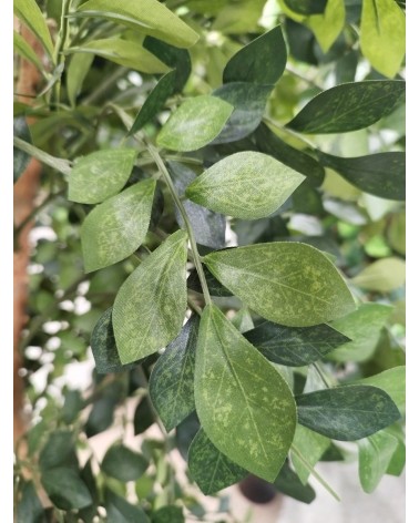 ARBOL ACACIA TRONCO NATURAL 180 CM en Plantas artificiales