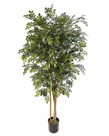 Árbol Artificial mod. ACACIA TRONCO NATURAL