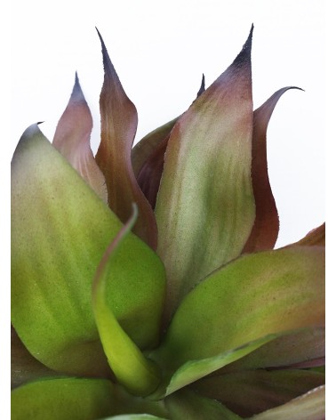PLANTA AGAVE 3 TALLOS EXTERIOR 92 CM en Plantas artificiales