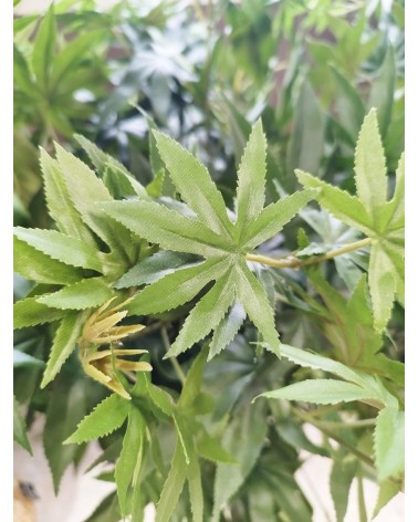 ARBOL ARCE TRONCO NATURAL 90 CM en Plantas artificiales