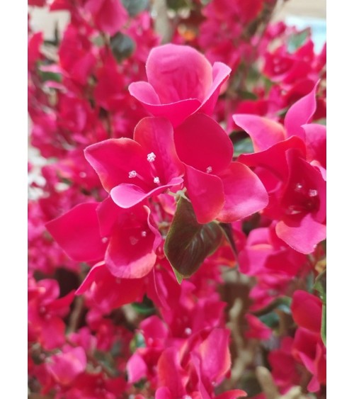 ARBOL ARCO BOUGANVILLA 250 CM en Plantas artificiales