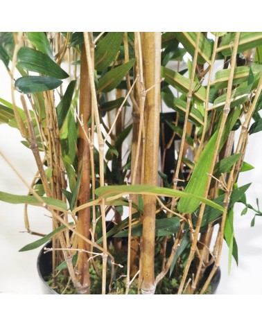 ARBOL BAMBÚ MINI ORIENTAL TRONCO NATURAL 180 CM en Plantas artifici...