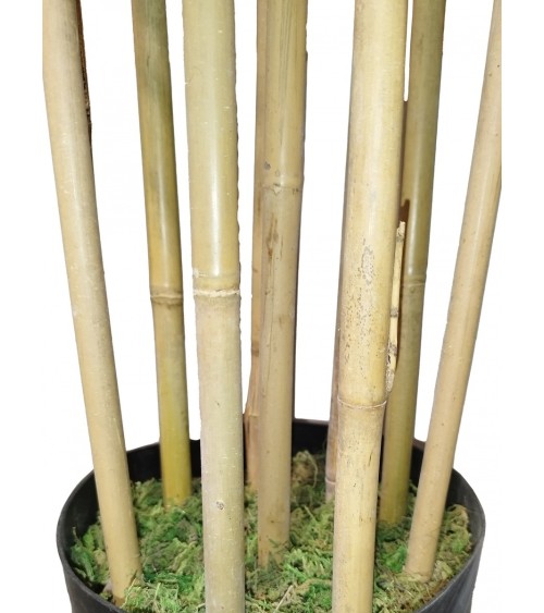 ARBOL BAMBÚ ROYAL TRONCO NATURAL 210 CM en Plantas artificiales