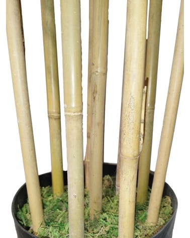 ARBOL BAMBÚ ROYAL TRONCO NATURAL 210 CM en Plantas artificiales