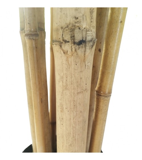 ARBOL BAMBÚ TRONCO NATURAL 210 CM en Plantas artificiales