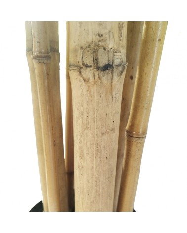ARBOL BAMBÚ TRONCO NATURAL 210 CM en Plantas artificiales
