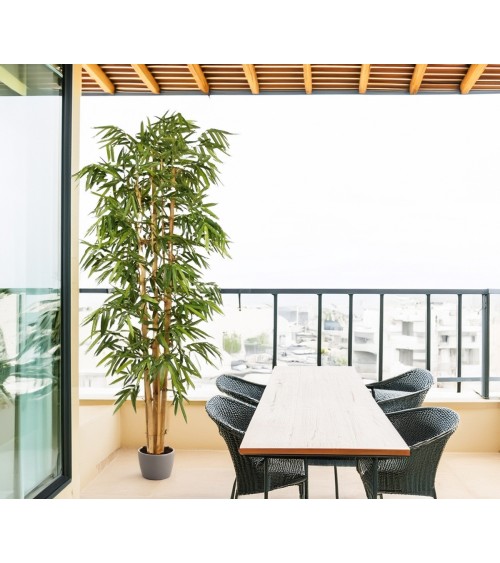 ARBOL BAMBÚ TRONCO NATURAL 210 CM en Plantas artificiales