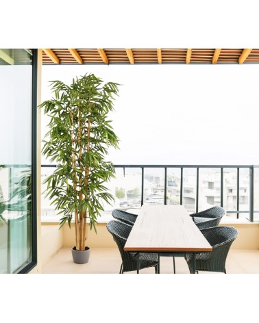 ARBOL BAMBÚ TRONCO NATURAL 210 CM en Plantas artificiales