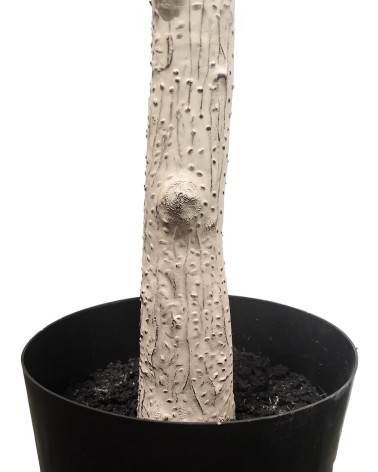 ARBOL BOUGANVILLA 240 CM en Plantas artificiales