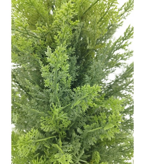 ARBOL CIPRÉS EXTERIOR 170 CM en Plantas artificiales