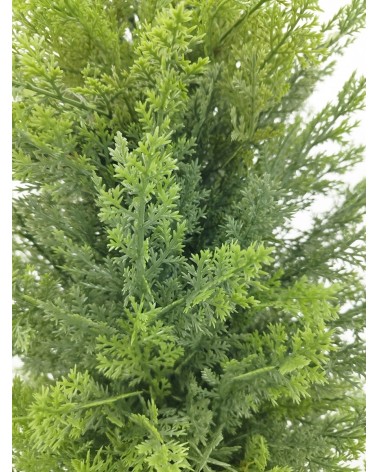 ARBOL CIPRÉS EXTERIOR 170 CM en Plantas artificiales