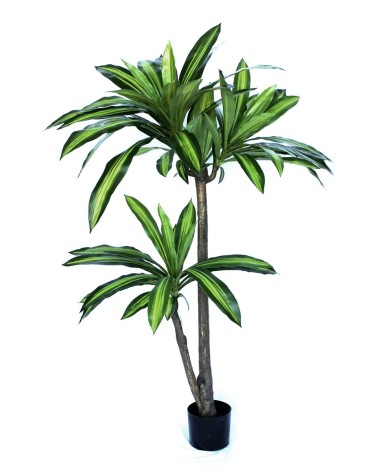 Árbol Artificial mod. DRACENA FRAGANS