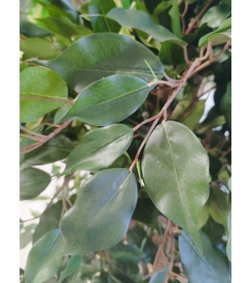 ARBOL FICUS LYRATA TRONCO NATURAL 150 CM en Plantas artificiales
