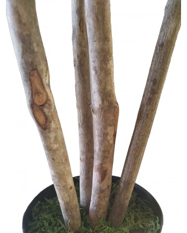 ARBOL FICUS LYRATA TRONCO NATURAL 150 CM en Plantas artificiales