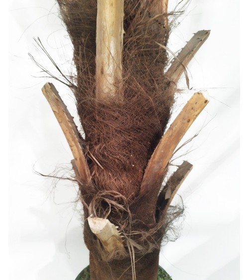 ARBOL PALMERA PHOENIX 250 CM en Plantas artificiales