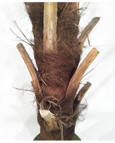 ARBOL PALMERA PHOENIX 250 CM en Plantas artificiales