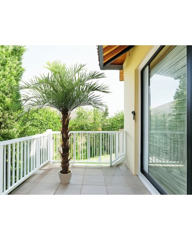 ARBOL PALMERA PHOENIX 250 CM en Plantas artificiales