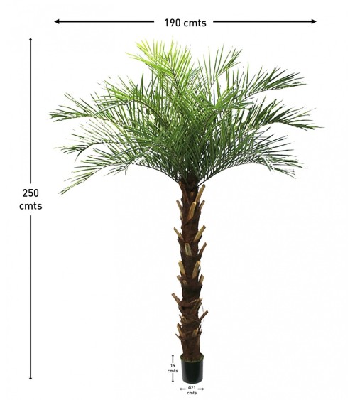 ARBOL PALMERA PHOENIX 250 CM en Plantas artificiales