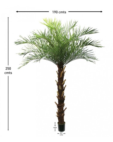 ARBOL PALMERA PHOENIX 250 CM en Plantas artificiales