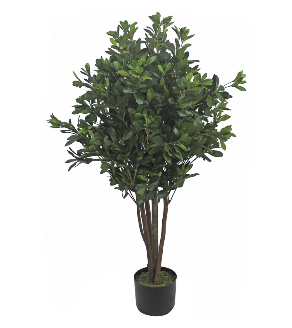 Árbol Artificial mod. PITTOSPORUM NATURAL