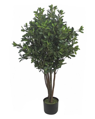Árbol Artificial mod. PITTOSPORUM NATURAL