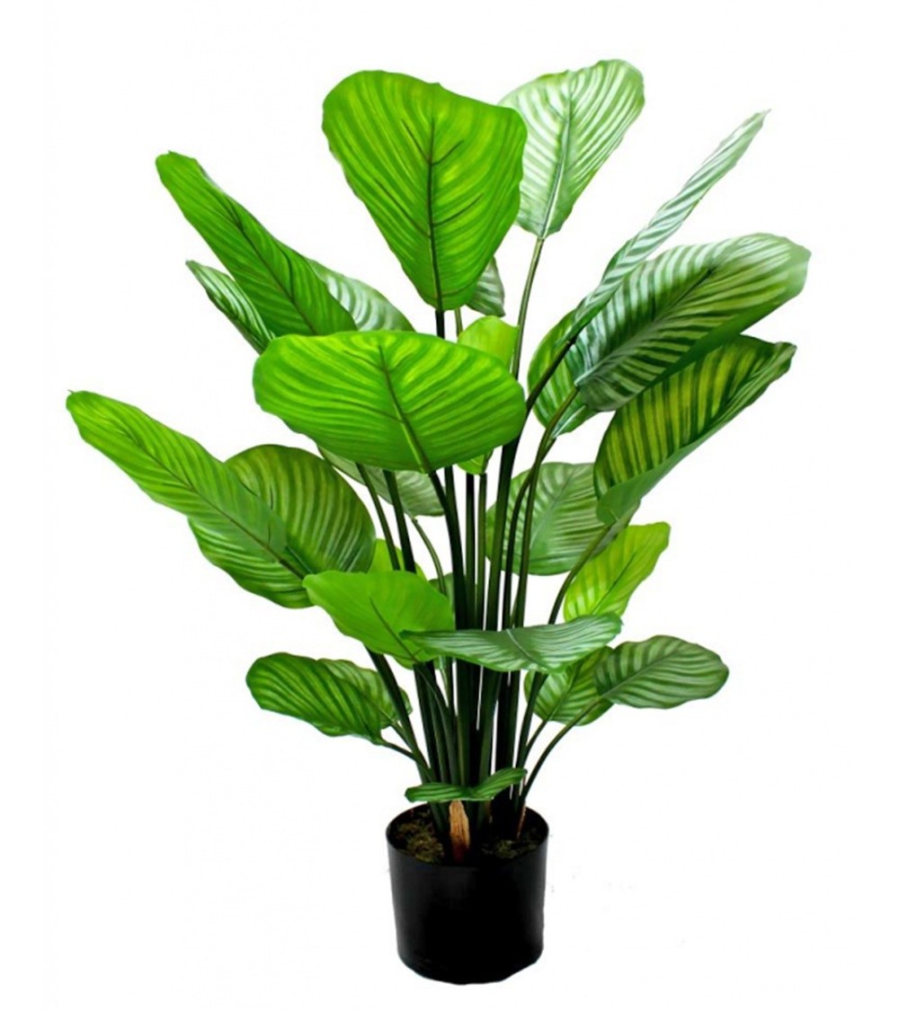 Planta Artificial mod. CALATHEA