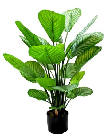 Planta Artificial mod. CALATHEA