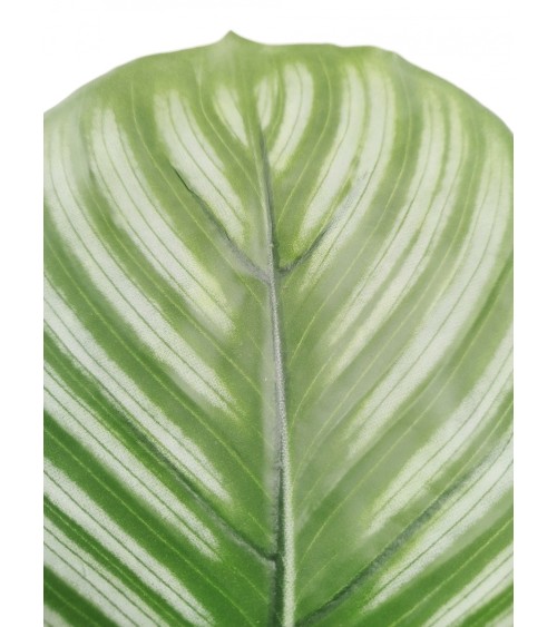 MACETA CALATHEA 80 CM en Plantas artificiales