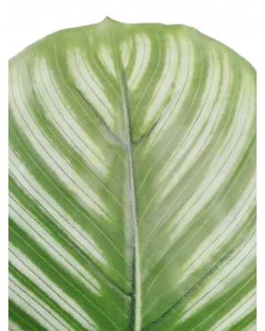 MACETA CALATHEA 80 CM en Plantas artificiales