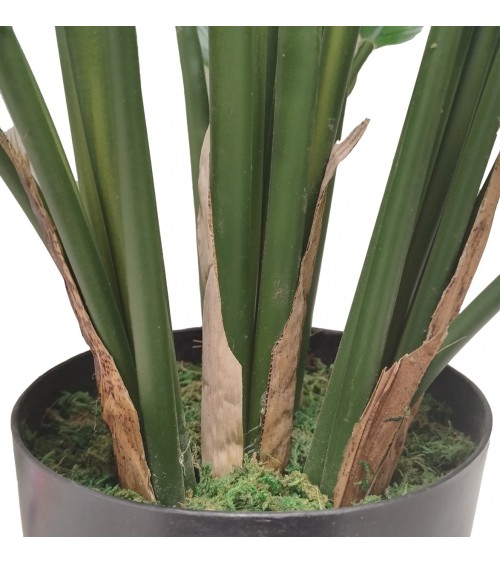 MACETA CALATHEA 80 CM en Plantas artificiales