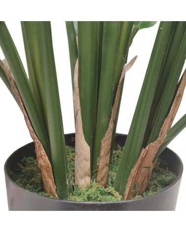 MACETA CALATHEA 80 CM en Plantas artificiales