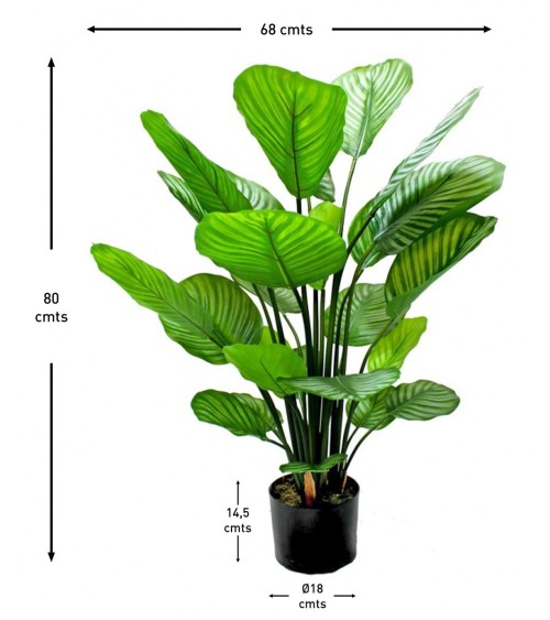 MACETA CALATHEA 80 CM en Plantas artificiales