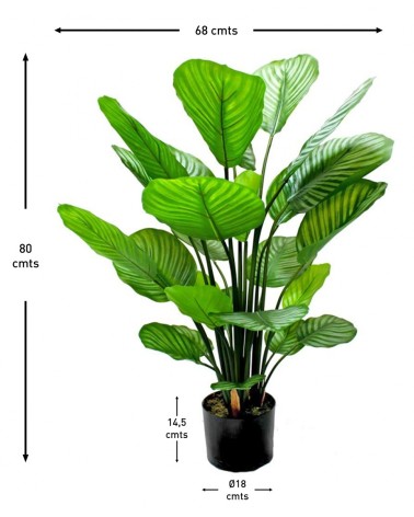 MACETA CALATHEA 80 CM en Plantas artificiales