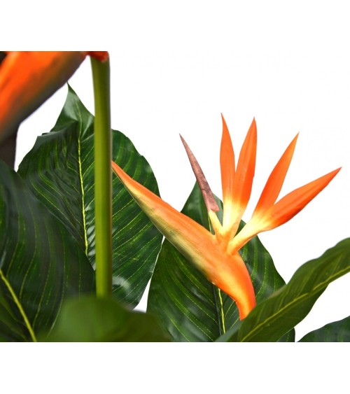 PLANTA ESTERLIZIA 100 CM en Plantas artificiales