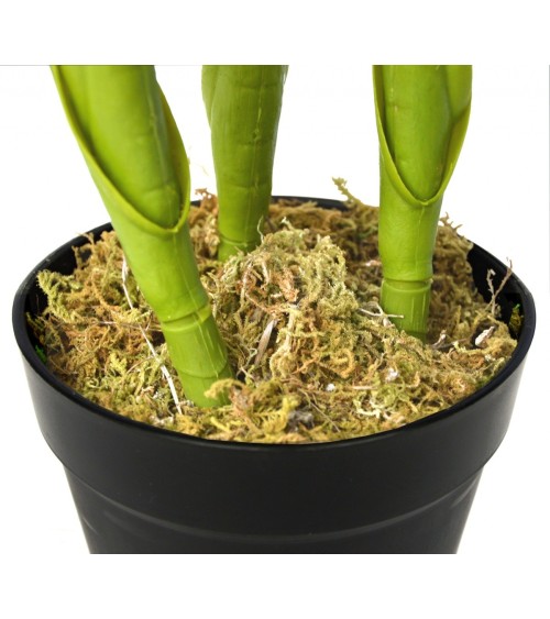 PLANTA ESTERLIZIA 100 CM en Plantas artificiales