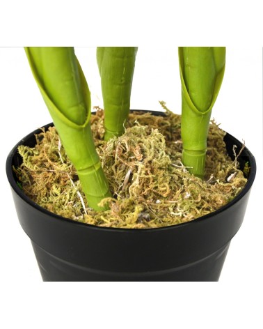 PLANTA ESTERLIZIA 100 CM en Plantas artificiales