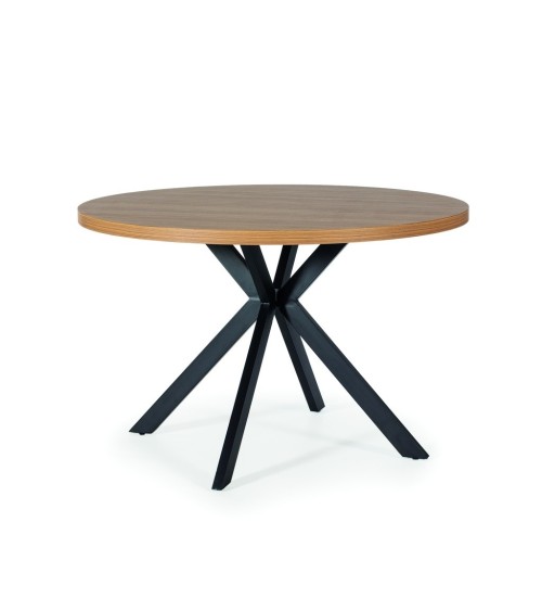 Mesa mod. DT250 en Auxiliares