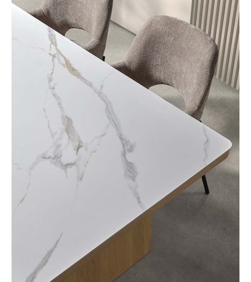 Mesa mod. DT513 en Auxiliares