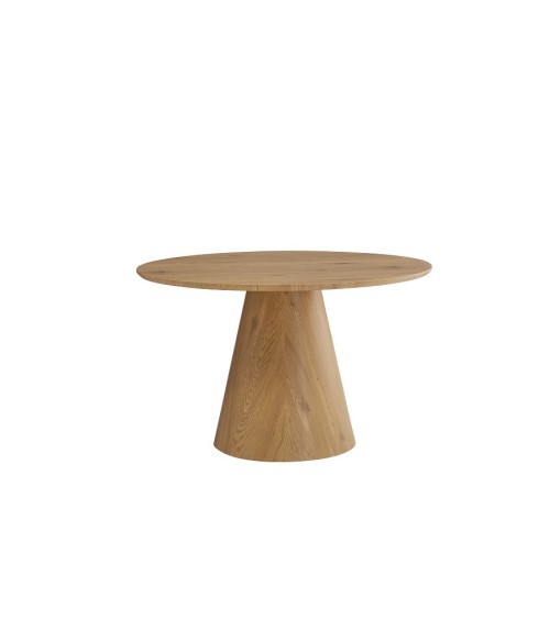 Mesa mod. DT516 en Auxiliares