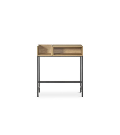 Consola mod. CON202 en Auxiliares