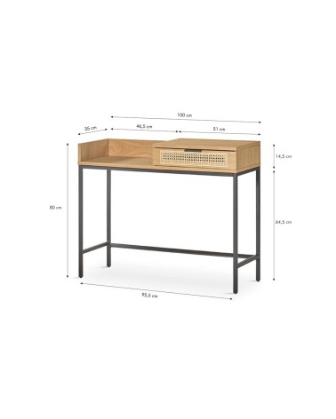 Consola mod. CON206 en Auxiliares