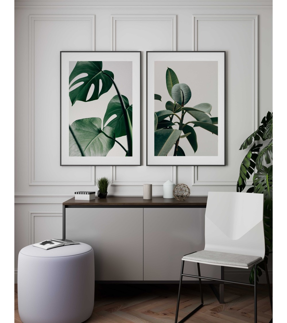 Composición mod. Monstera