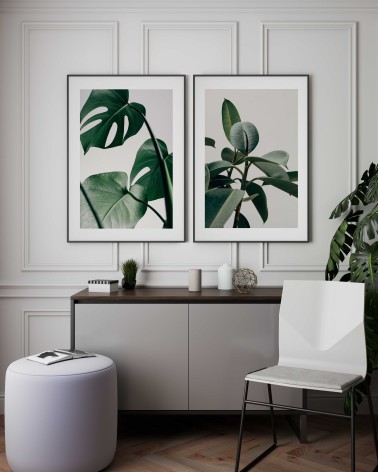 Composición mod. Monstera