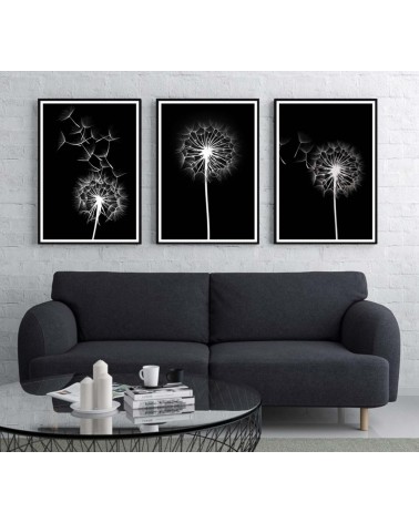 Composición mod. Dandelion