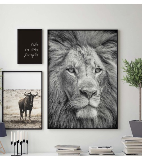 Composición mod. Safari