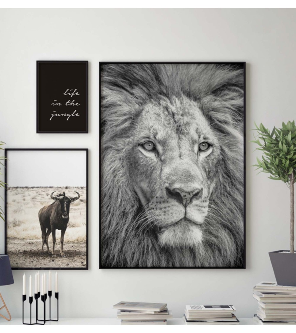 Composición mod. Safari