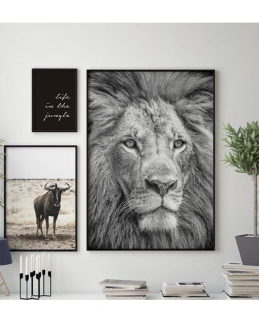 Composición mod. Safari